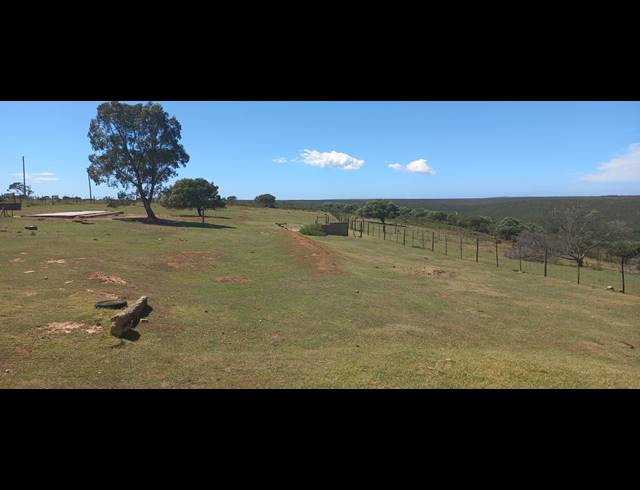 9HA FARM FOR SALE IN UITENHAGE CENTRAL